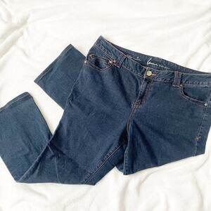 Lane Bryant straight slim bootcut genius fit jeans stretch denim size 20 petite